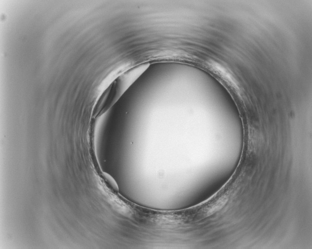 X0000087061330200704251019