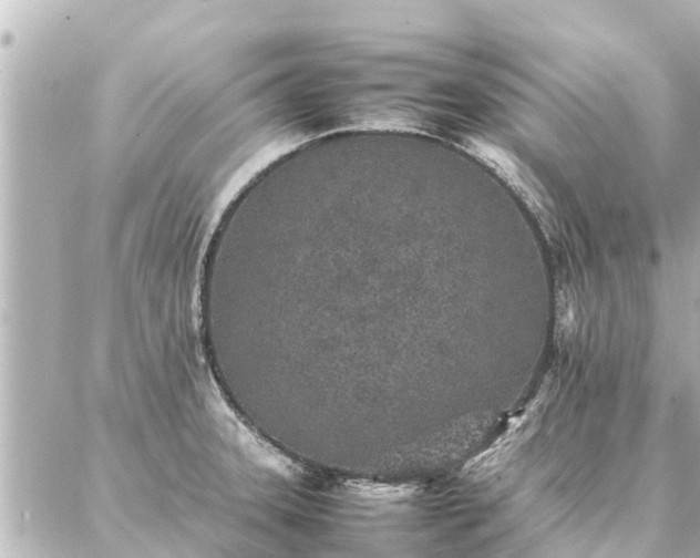 X0000087061331200704251019