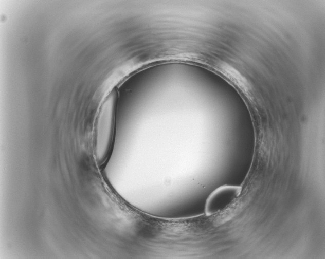 X0000087061332200704251019