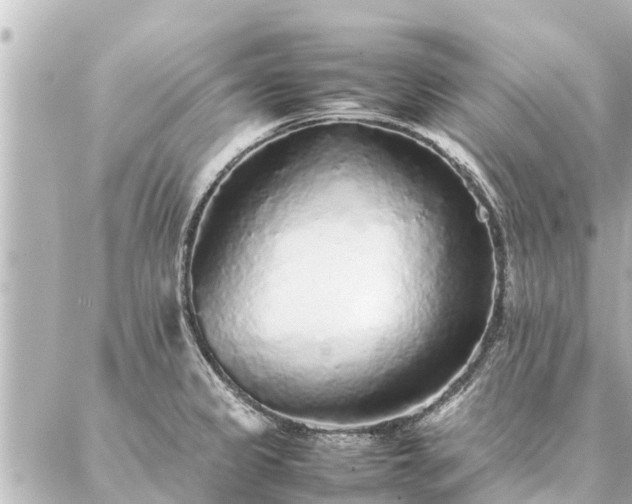 X0000087061333200704251019