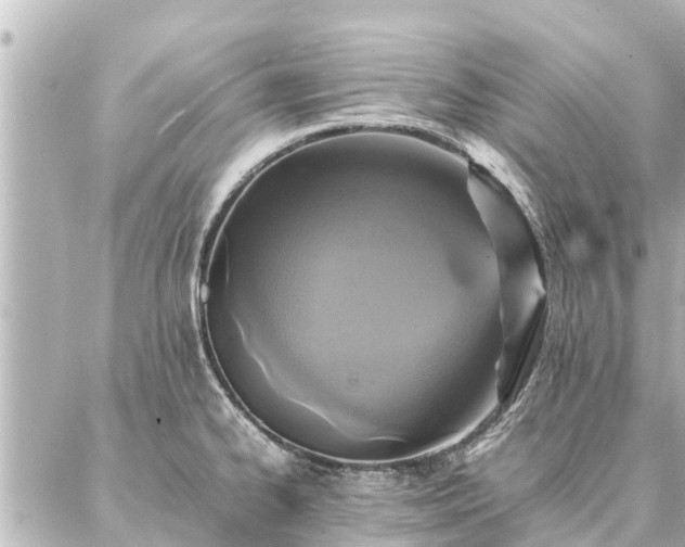 X0000087061334200704251019