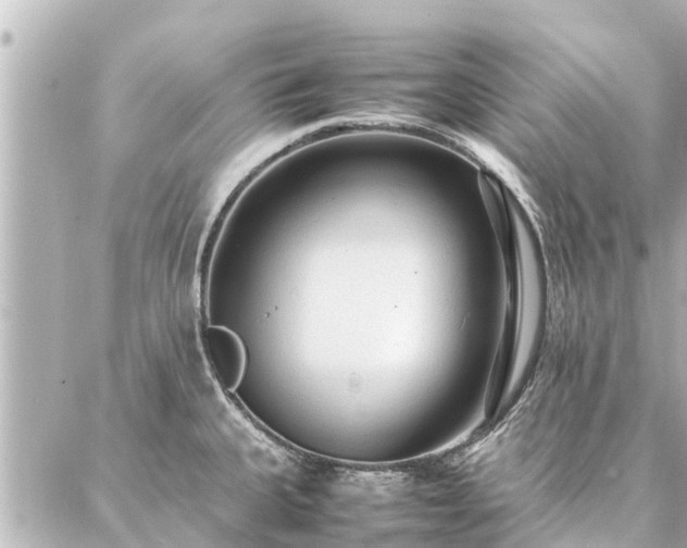 X0000087061335200704251019