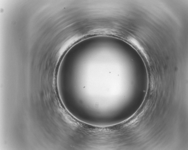 X0000087061336200704251019