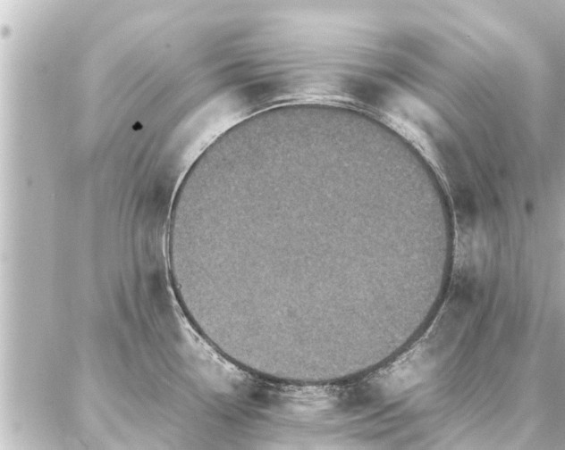 X0000087061338200704251019