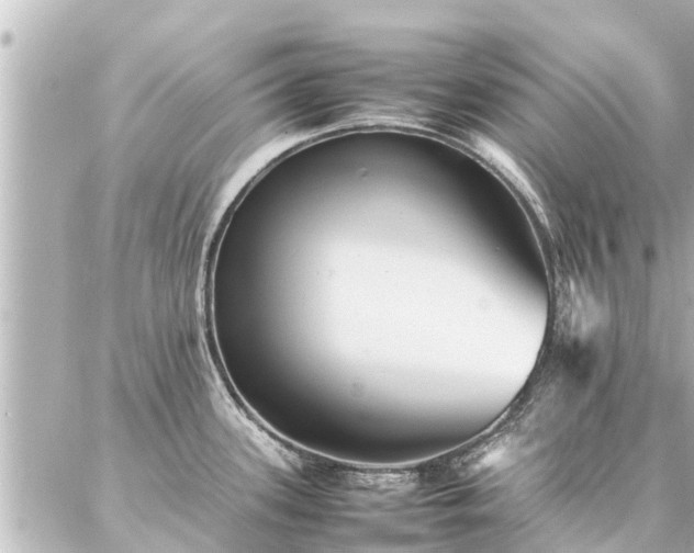 X0000087061339200704251019