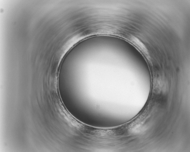 X0000087061340200704251019