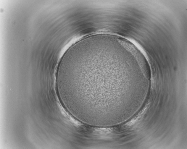 X0000087061341200704251019