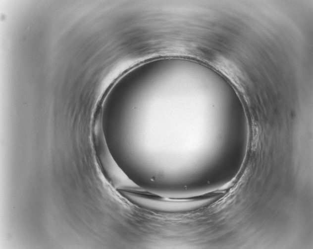 X0000087061342200704251020