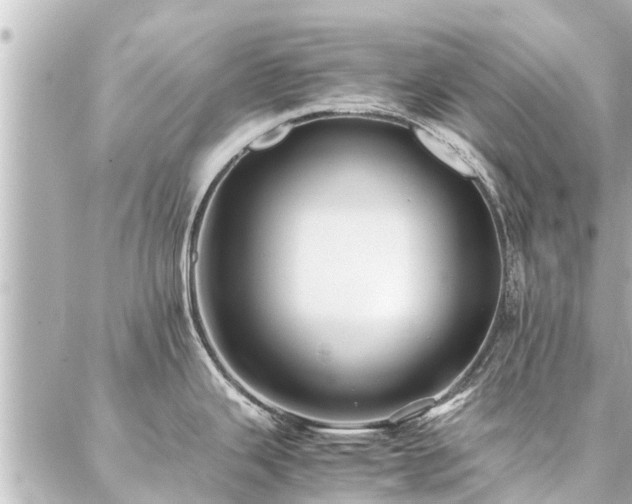 X0000087061343200704251020