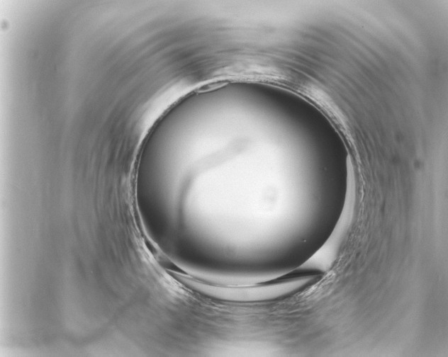 X0000087061344200704251020