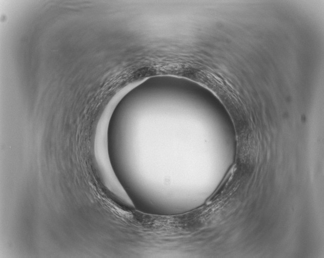 X0000087061345200704251019