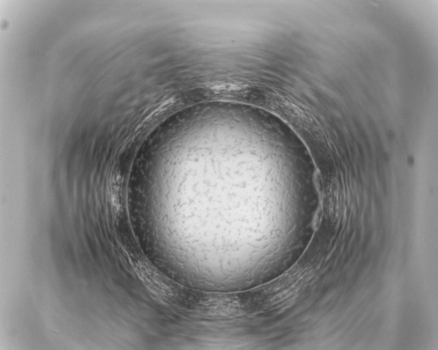 X0000087061346200704251019