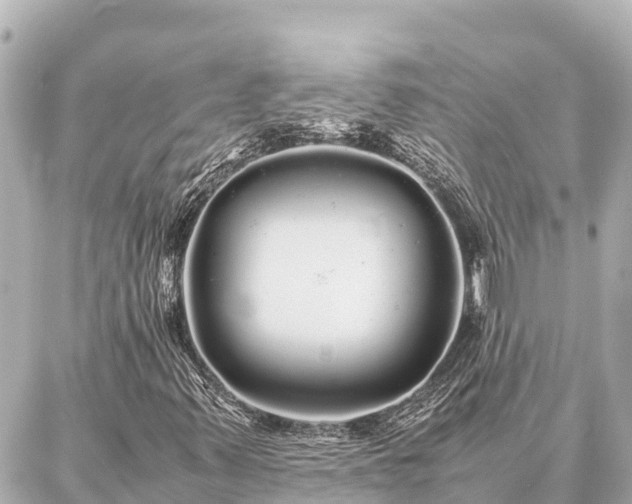 X0000087061347200704251019