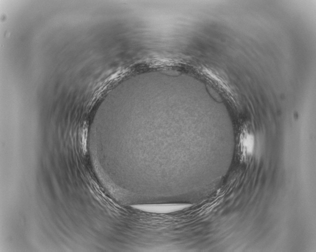 X0000087061348200704251019