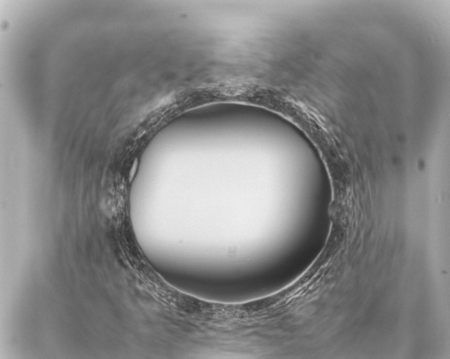 X0000087061349200704251019