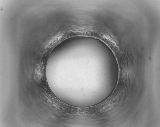 X0000087061350200704251019