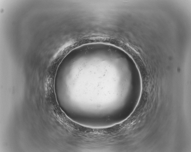 X0000087061351200704251019