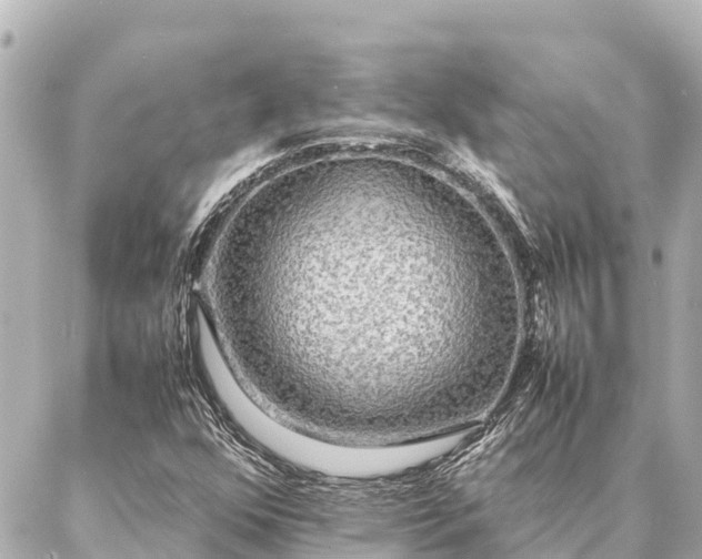 X0000087061352200704251019