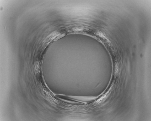 X0000087061353200704251019