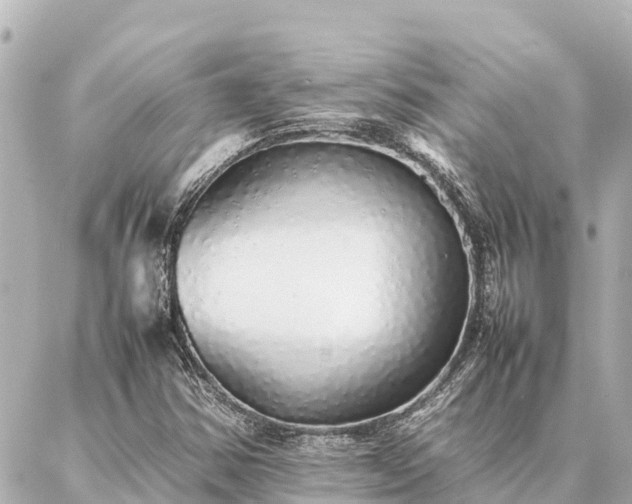 X0000087061354200704251019