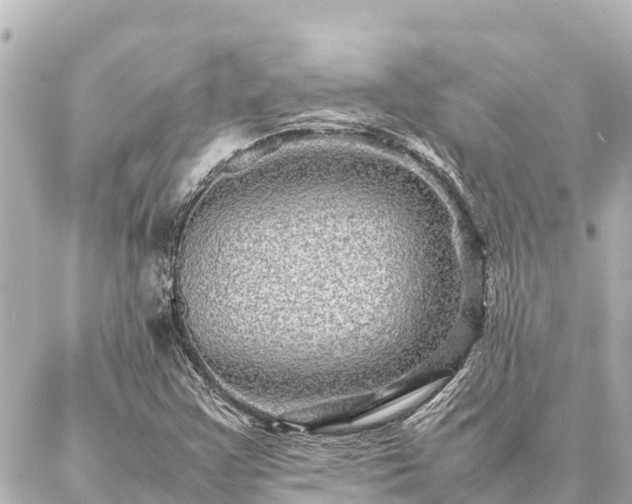 X0000087061355200704251019