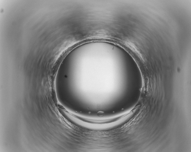 X0000087061356200704251019