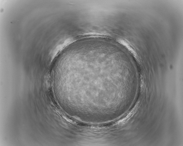 X0000087061357200704251019