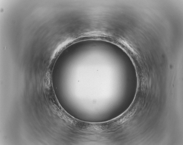 X0000087061358200704251019