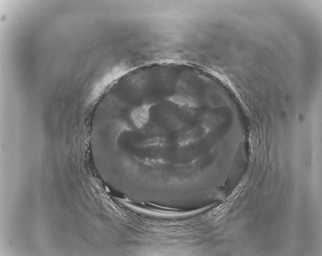 X0000087061359200704251019