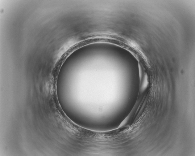 X0000087061360200704251019