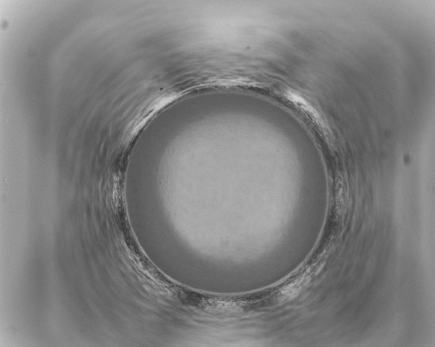 X0000087061361200704251018