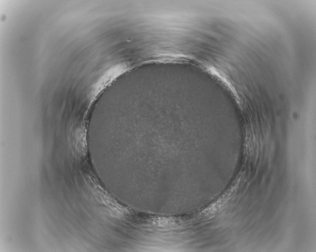 X0000087061362200704251018