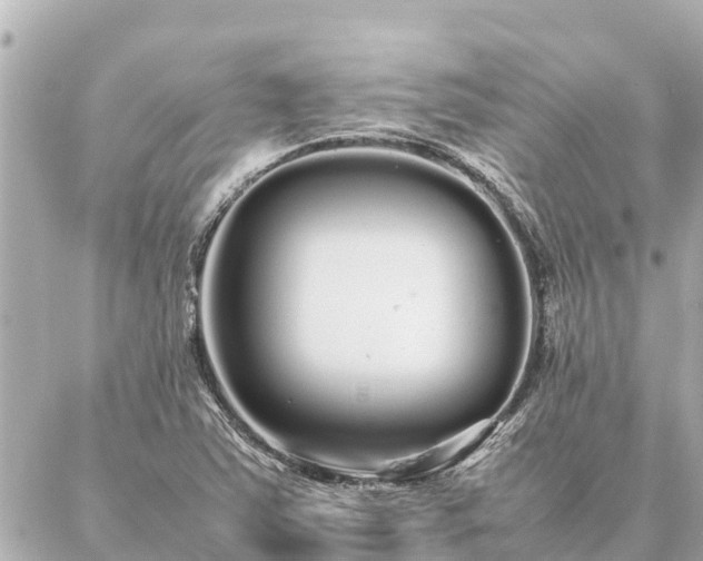 X0000087061363200704251018