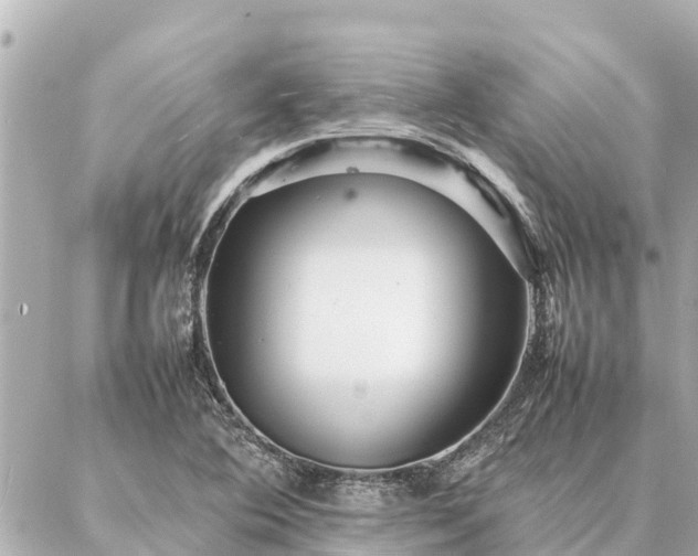 X0000087061364200704251018