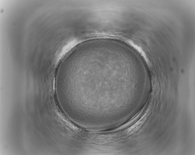 X0000087061365200704251018