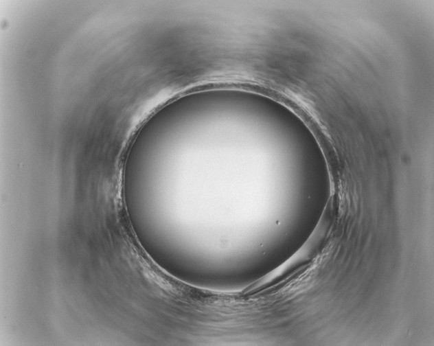 X0000087061366200704251018