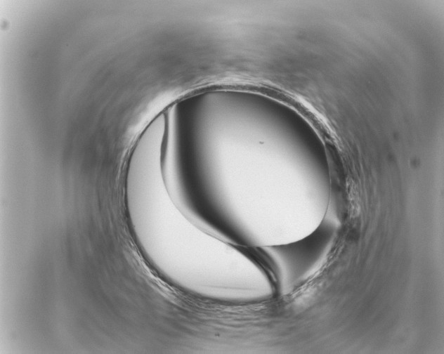 X0000087061367200704251018