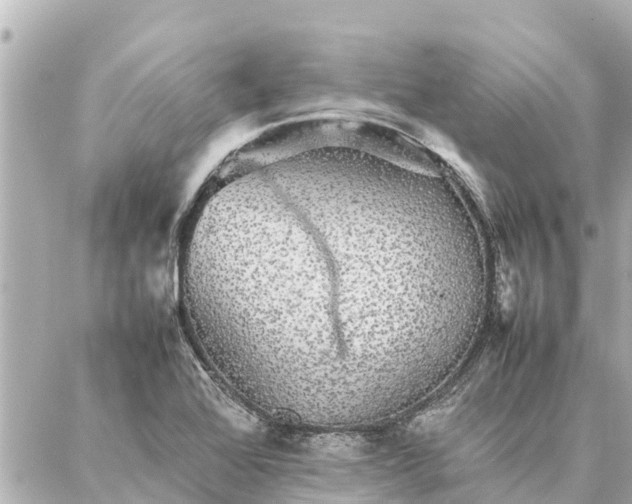 X0000087061368200704251018