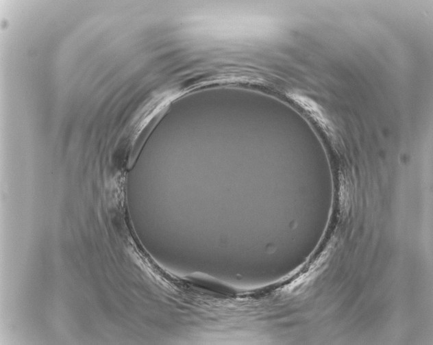 X0000087061369200704251018