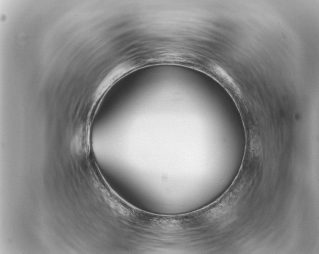 X0000087061370200704251018