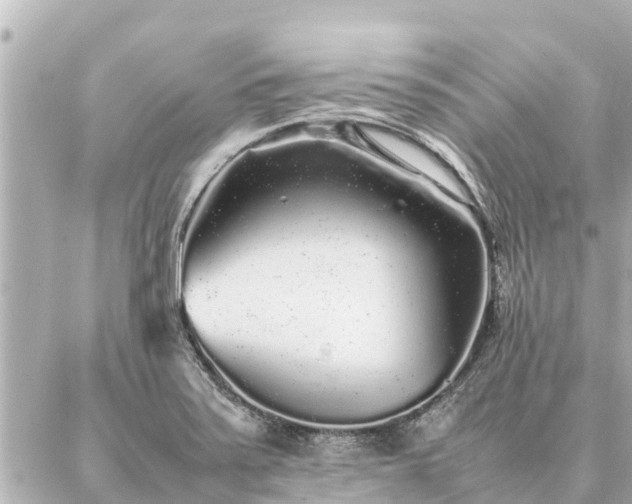 X0000087061371200704251018