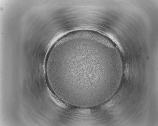 X0000087061372200704251018