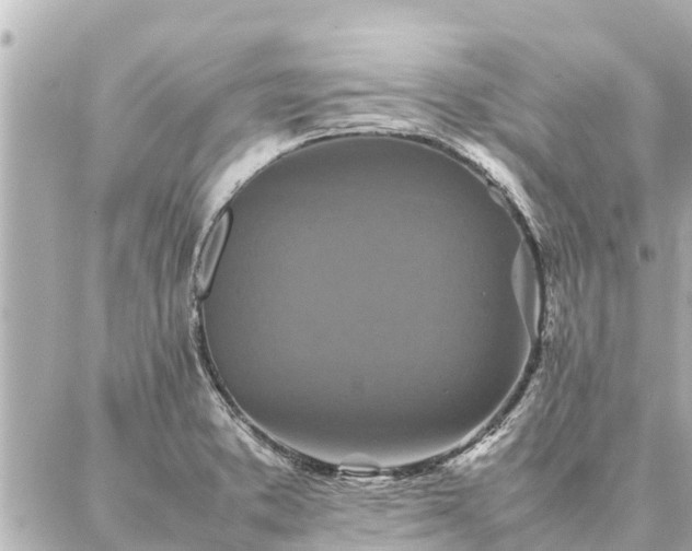 X0000087061373200704251018