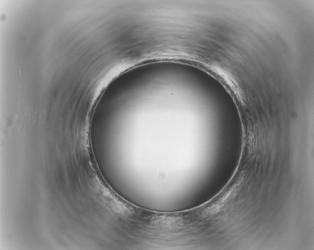 X0000087061374200704251018