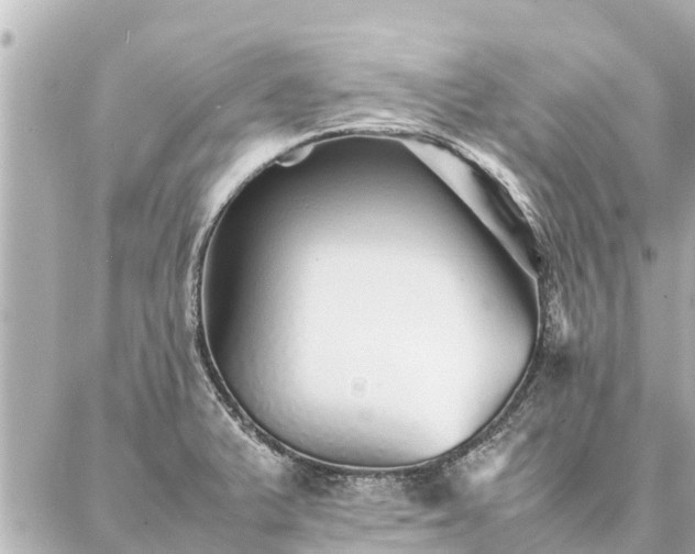 X0000087061375200704251018