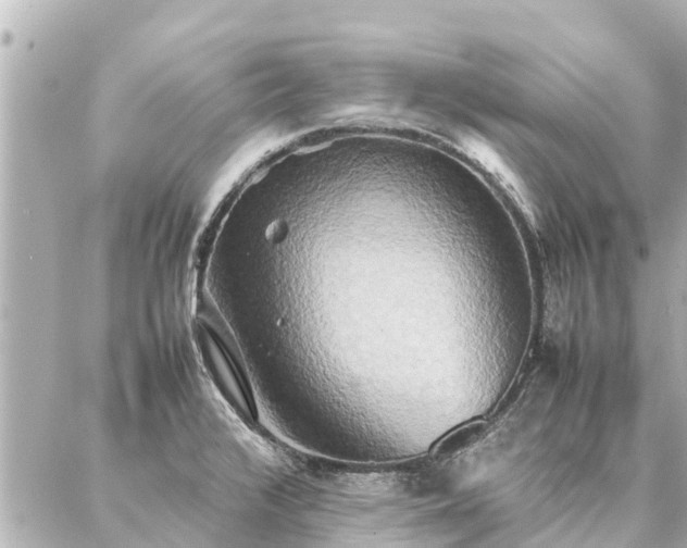 X0000087061376200704251018