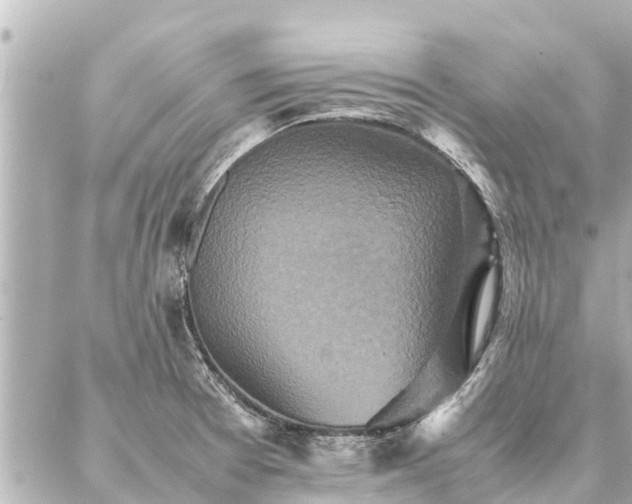 X0000087061377200704251018