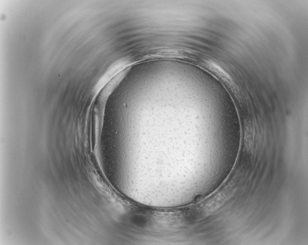 X0000087061378200704251018