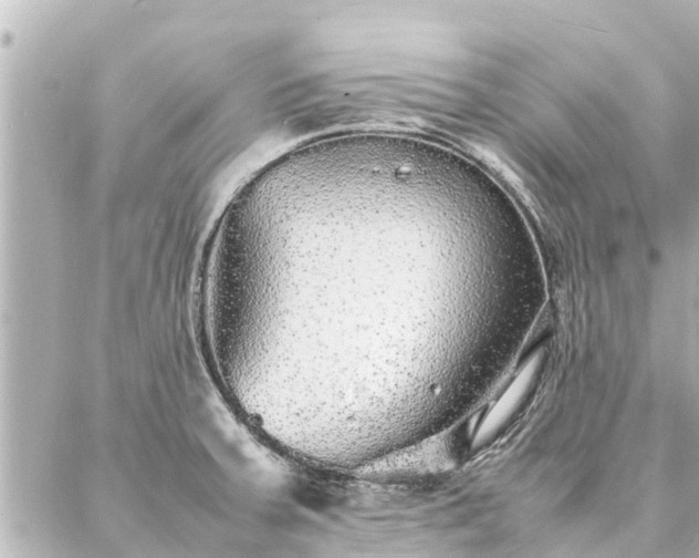 X0000087061379200704251018