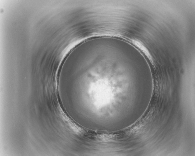 X0000087061380200704251018